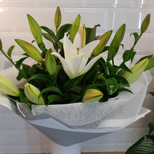 Load image into Gallery viewer, Oriental Lily Bouquet - Gold Coast City Florist