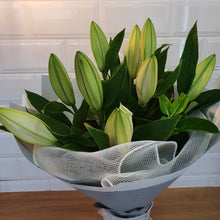 Load image into Gallery viewer, Oriental Lily Bouquet - Gold Coast City Florist