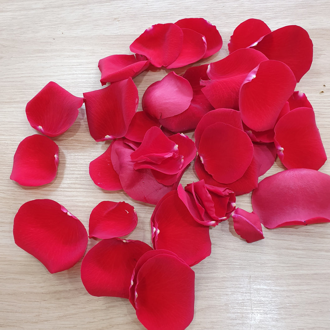 Rose Petals - Gold Coast City Florist