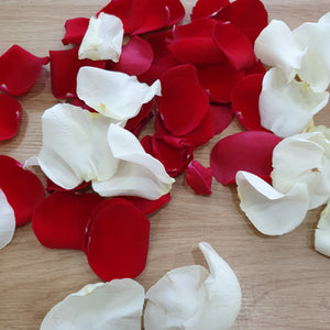 Rose Petals - Gold Coast City Florist