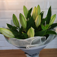 Load image into Gallery viewer, Oriental Lily Bouquet - Gold Coast City Florist
