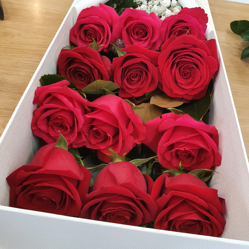 12 Premium Colombian roses in a Flat presentation box - Gold Coast City Florist