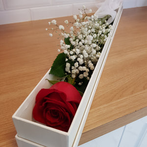 Single Rose in Presentation box - Gold Coast City Florist